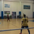 Futsal Salapia - Torremaggiore