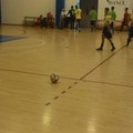 Futsal Salapia - Torremaggiore