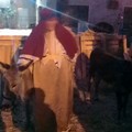 Presepe vivente