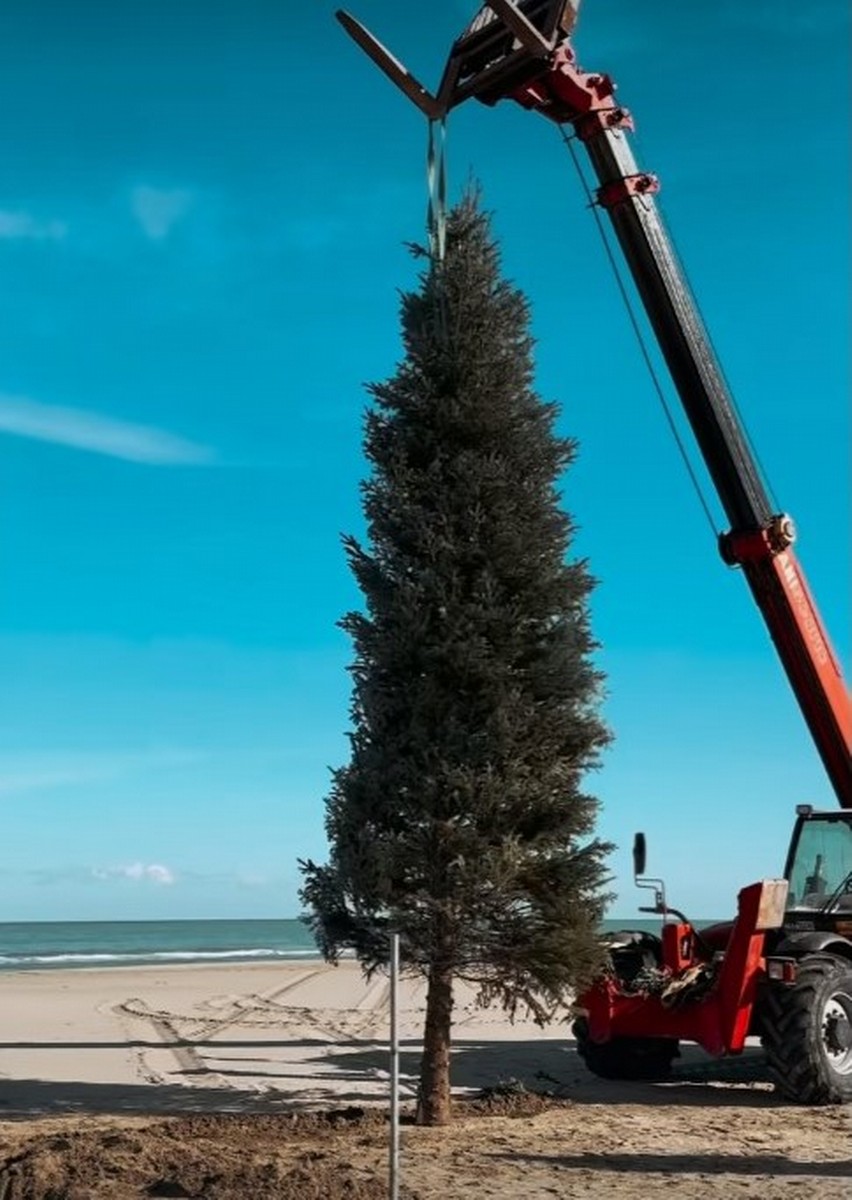 albero di Natale in spiaggia Margherita di Savoia
