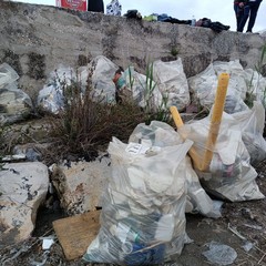 Margherita di Savoia, universitari fuorisede ripuliscono la spiaggia