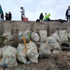 Margherita di Savoia, universitari fuorisede ripuliscono la spiaggia