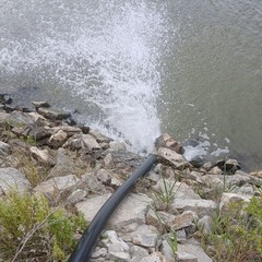 Piogge incessanti a Margherita: il maltempo allaga i campi di cipolle e carote