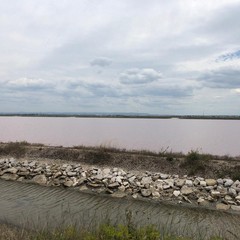 Emiliano in visita con il sindaco Lodispoto alla salina di Margherita