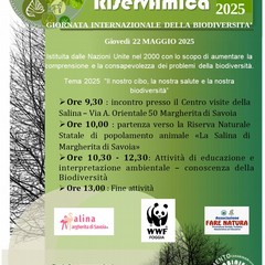 RiservAmica