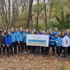 Tra bilanci e sguardi al futuro: “Margherita Cammina” brinda al 2025 trascorso insieme