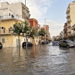 Maltempo e strade allagate a Margherita di Savoia
