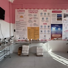 Inaugurato il nuovo Centro Visite della Salina di Margherita di Savoia