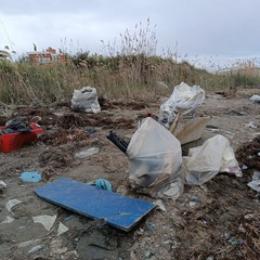 Margherita di Savoia, universitari fuorisede ripuliscono la spiaggia