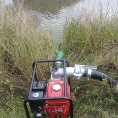Piogge incessanti a Margherita: il maltempo allaga i campi di cipolle e carote
