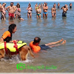 Attività dimostrativa a cura della Scuola Italiana Cani Salvataggio (SICS) e della Lifeguard