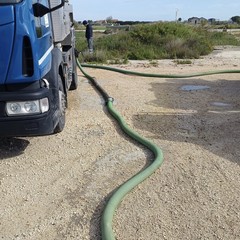 Piogge incessanti a Margherita: il maltempo allaga i campi di cipolle e carote