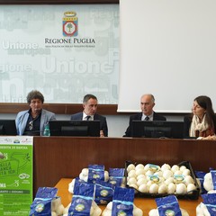 Festa della Cipolla Bianca di Margherita Igp, la presentazione