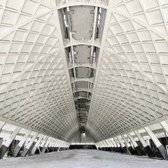 Pier Luigi Nervi