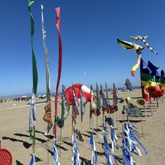 Il Festival degli Aquiloni colora le spiagge di Margherita: presente ieri l’ambasciatore thailandese