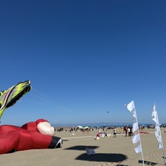 Il Festival degli Aquiloni colora le spiagge di Margherita: presente ieri l’ambasciatore thailandese