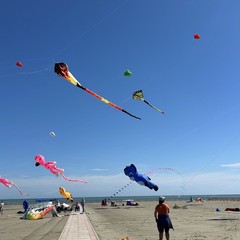 Aquiloni e sguardo al cielo: prende il via il Festival dell’Aquilone a Margherita di Savoia
