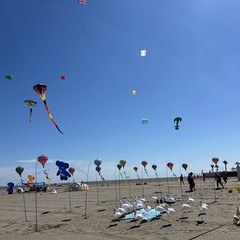 Aquiloni e sguardo al cielo: prende il via il Festival dell’Aquilone a Margherita di Savoia