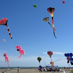 Aquiloni e sguardo al cielo: prende il via il Festival dell’Aquilone a Margherita di Savoia