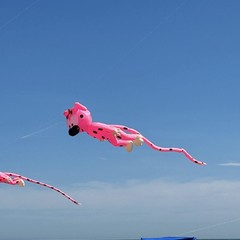 Aquiloni e sguardo al cielo: prende il via il Festival dell’Aquilone a Margherita di Savoia