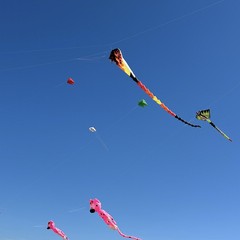 Aquiloni e sguardo al cielo: prende il via il Festival dell’Aquilone a Margherita di Savoia