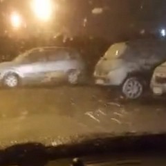 Neve