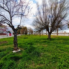 Parco Covid