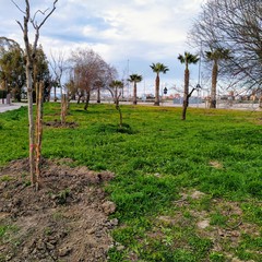Parco Covid