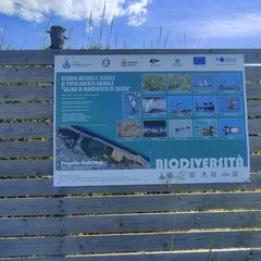 Progetto COBISMAS, Quarta: «548 mila euro pubblici tra degrado e abbandono»
