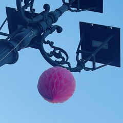 Margherita di Savoia si tinge di rosa: grande successo per la terza edizione di “Pink & Love”