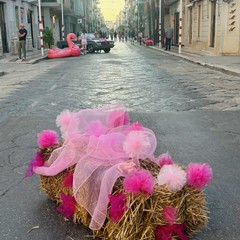 Margherita di Savoia si tinge di rosa: grande successo per la terza edizione di “Pink & Love”
