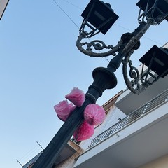 Margherita di Savoia si tinge di rosa: grande successo per la terza edizione di “Pink & Love”