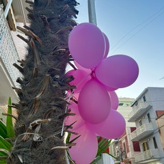 Margherita di Savoia si tinge di rosa: grande successo per la terza edizione di “Pink & Love”