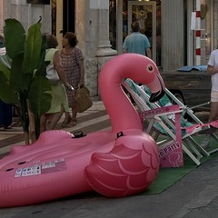Margherita di Savoia si tinge di rosa: grande successo per la terza edizione di “Pink & Love”