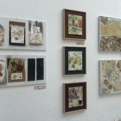 “Sogni, Segni, Radici”: il dialogo tra natura e memoria nell’arte di Maria Daloiso