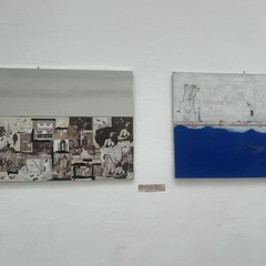 “Sogni, Segni, Radici”: il dialogo tra natura e memoria nell’arte di Maria Daloiso