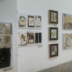 “Sogni, Segni, Radici”: il dialogo tra natura e memoria nell’arte di Maria Daloiso