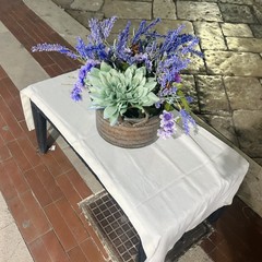 Tra musica, arte e colori: grande successo a Margherita di Savoia per la Notte Bianca