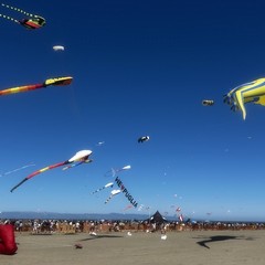 Dal Piemonte a Margherita di Savoia con i loro aquiloni in volo