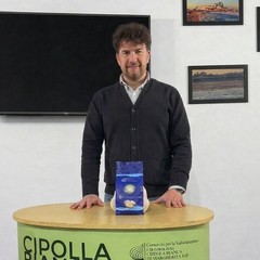 Cipolla Bianca di Margherita Igp: al via la nuova raccolta