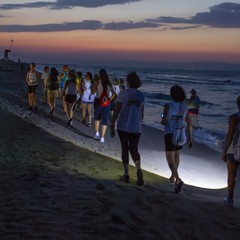 "Cipolla in Festa": conto alla rovescia per il weekend a Margherita di Savoia