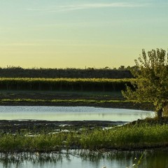 Il fiume Ofanto: un ecosistema tra natura, biodiversità e turismo sostenibile
