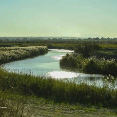 Il fiume Ofanto: un ecosistema tra natura, biodiversità e turismo sostenibile