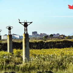 Il fiume Ofanto: un ecosistema tra natura, biodiversità e turismo sostenibile