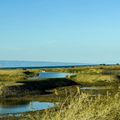Il fiume Ofanto: un ecosistema tra natura, biodiversità e turismo sostenibile