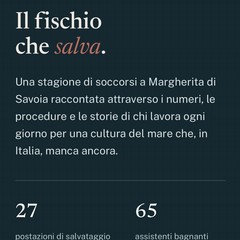 “Il fischio che salva”: a Margherita di Savoia un sito web per diffondere la cultura del mare