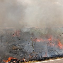 A Margherita di Savoia continua l'emergenza incendi