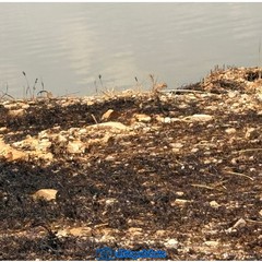 A Margherita di Savoia continua l'emergenza incendi