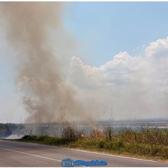 A Margherita di Savoia continua l'emergenza incendi