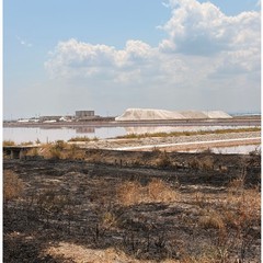 A Margherita di Savoia continua l'emergenza incendi